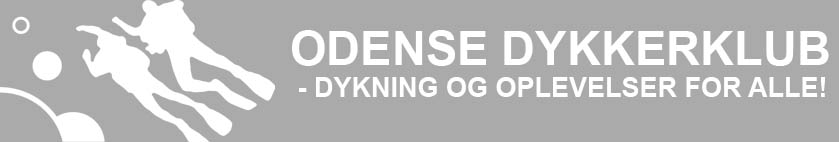 Odense Dykkerklub