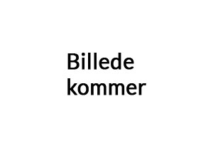 anders lund